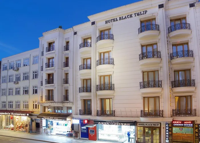 Hotel Black Tulip